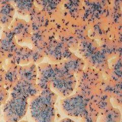 AMACO CR-18 Dėmėta Flux Crawls glazūra 1186°C-1222°C 472ml