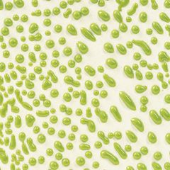 AMACO CR-41 Laimo Crawls glazūra 1186°C-1222°C 472ml