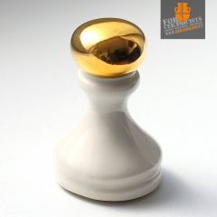 HERAEUS Aukso tirpalas GG 347-12% (porcelianui)