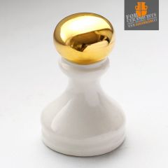 HERAEUS Aukso tirpalas GG 1539-10% (porcelianui)